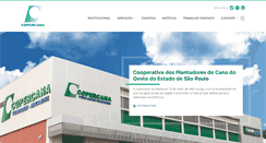Desktop Screenshot of copercana.com.br